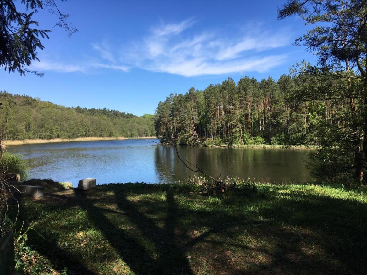 Domek Z Bali Tryszczyn Nad Brda Dış mekan fotoğraf
