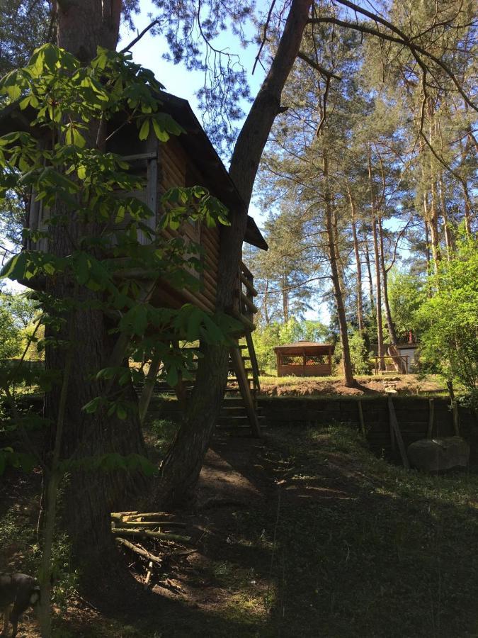 Domek Z Bali Tryszczyn Nad Brda Dış mekan fotoğraf